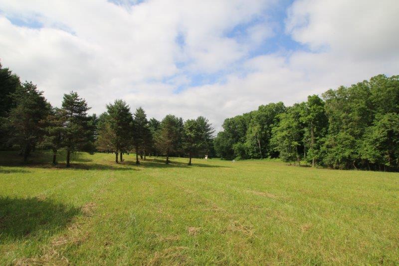710 Home Road Delaware, OH 43015 - Photo 11 of 19 Gallery Image 11
