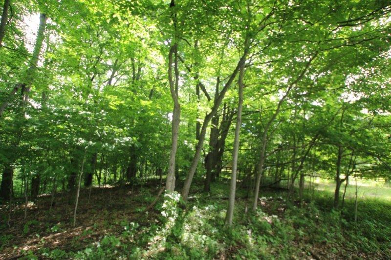 710 Home Road Delaware, OH 43015 - Photo 13 of 19 Gallery Image 13