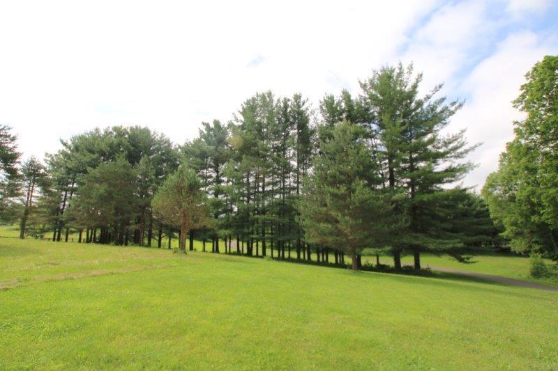 710 Home Road Delaware, OH 43015 - Photo 10 of 19 Gallery Image 10