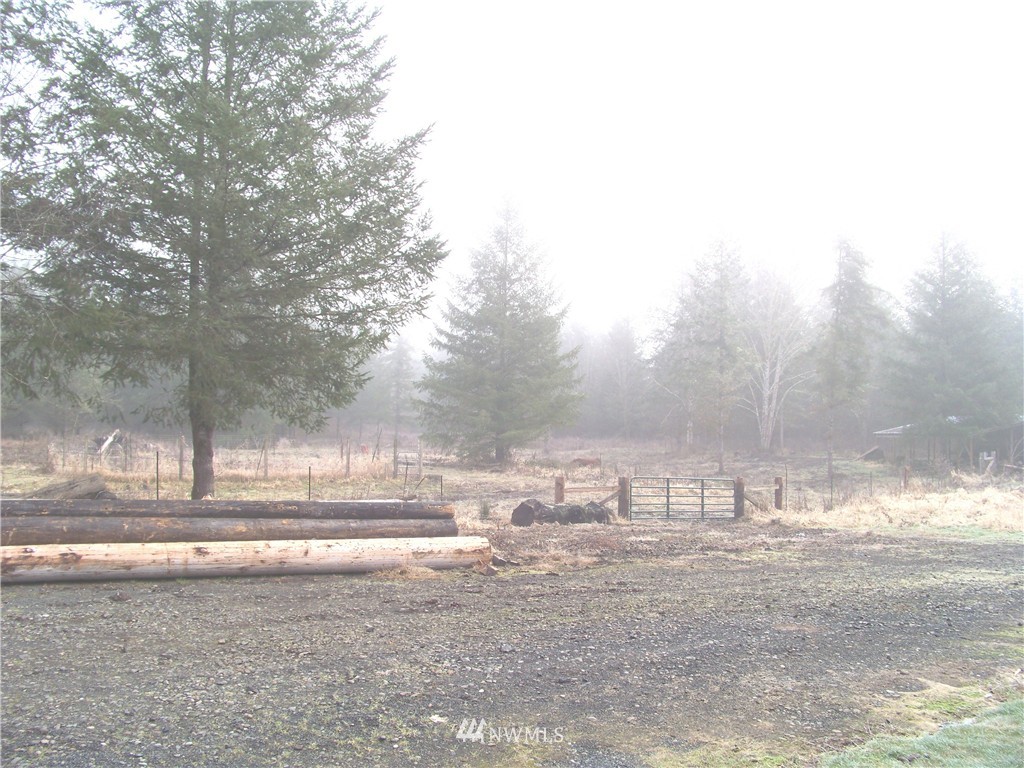 1670 Spencer Road Salkum, WA 98582 - Photo 19 of 23 Gallery Image 19