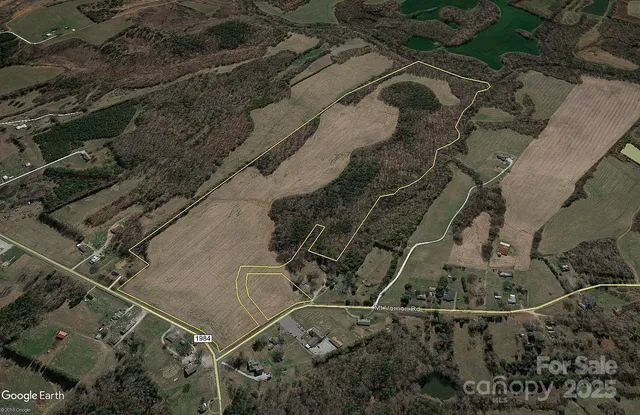 a view of backyard and trees