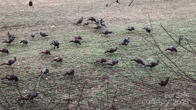 a view of balcony with furniture