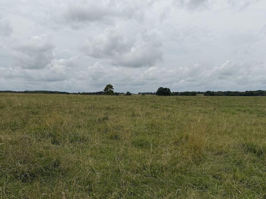 2 State Rte T Bolivar, MO 65613 - Photo 2 of 2 IMG_2206