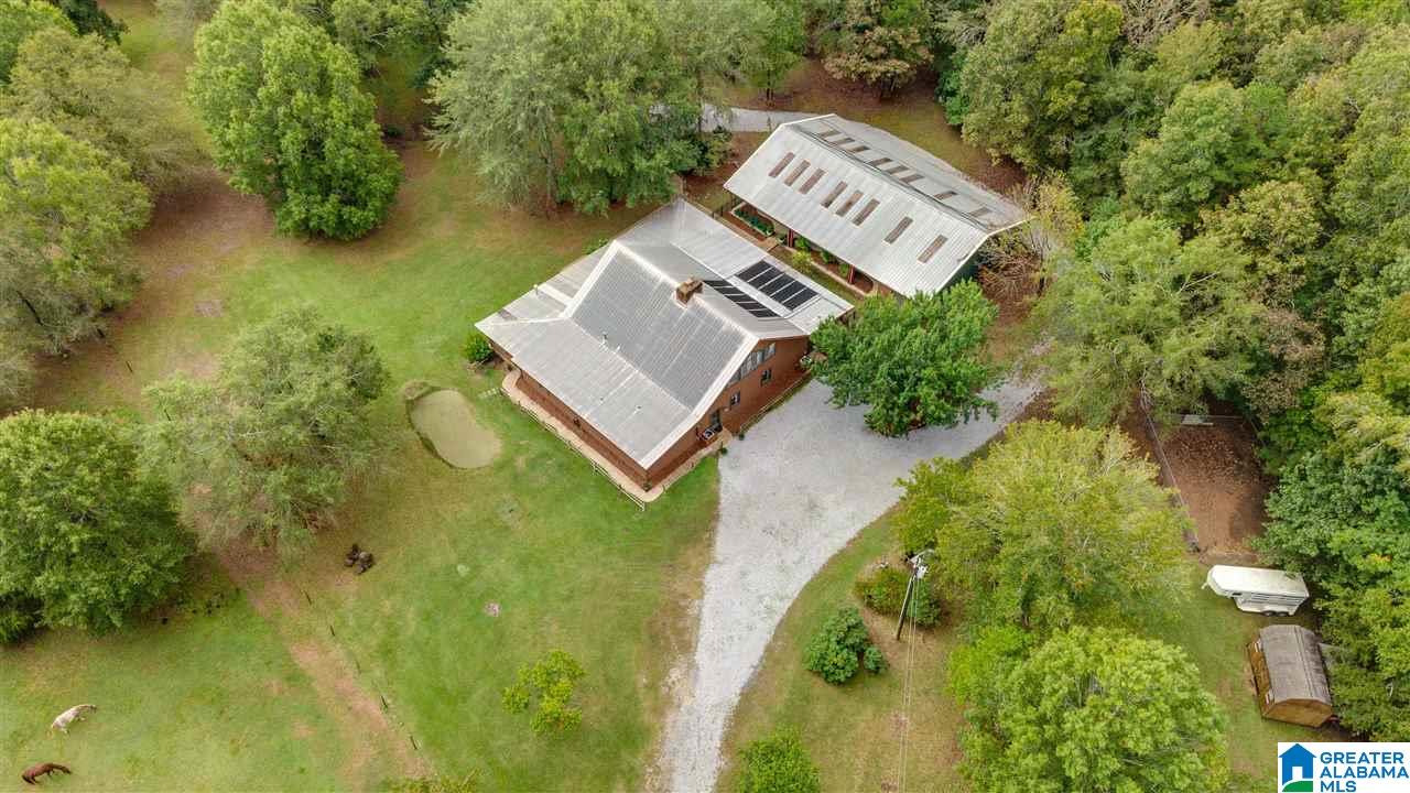 1645 County Road 153 Jemison, AL 35085 - Photo 46 of 50