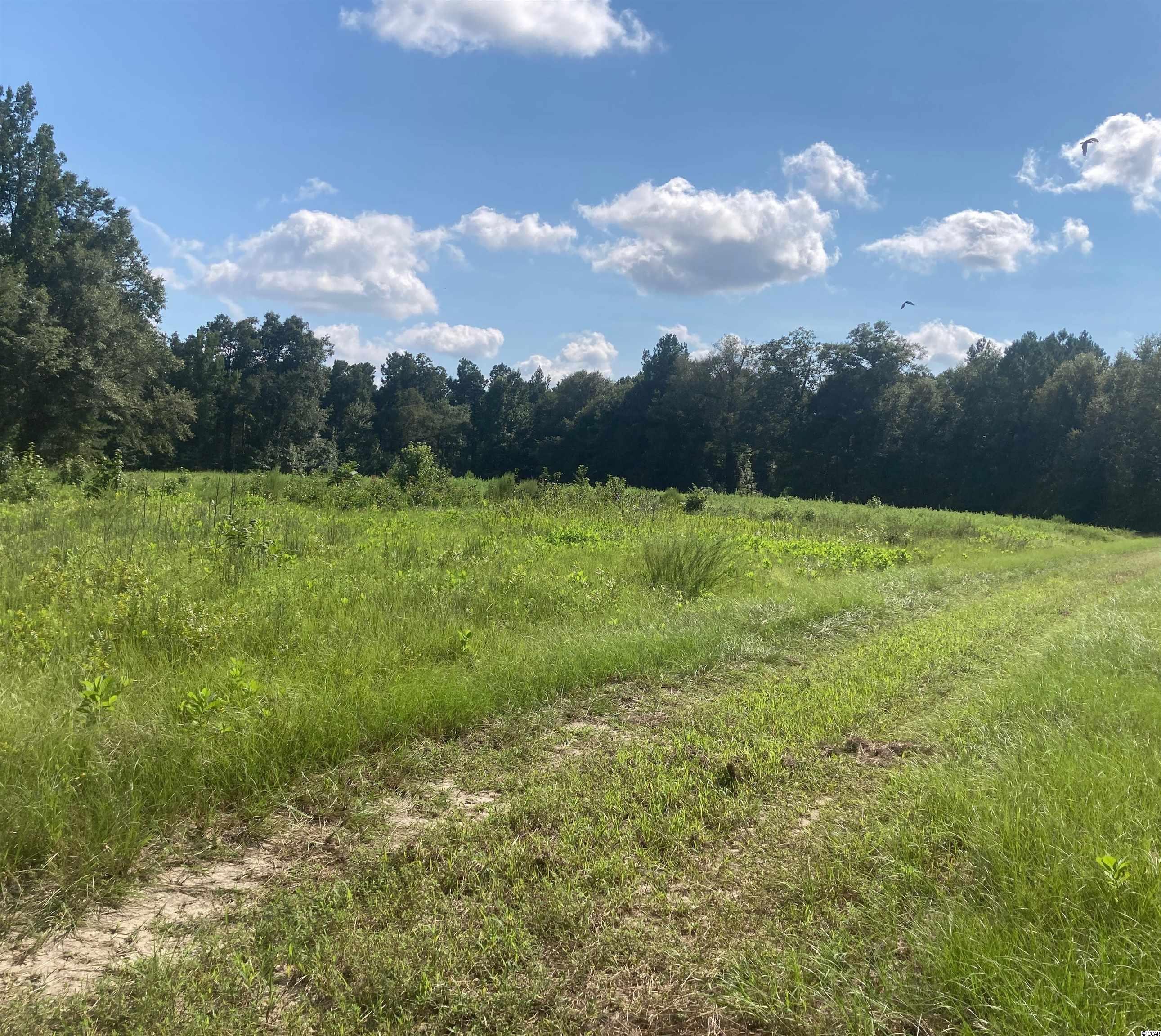 107-ac Radio Road Hemingway, SC 29554 - Photo 2 of 4