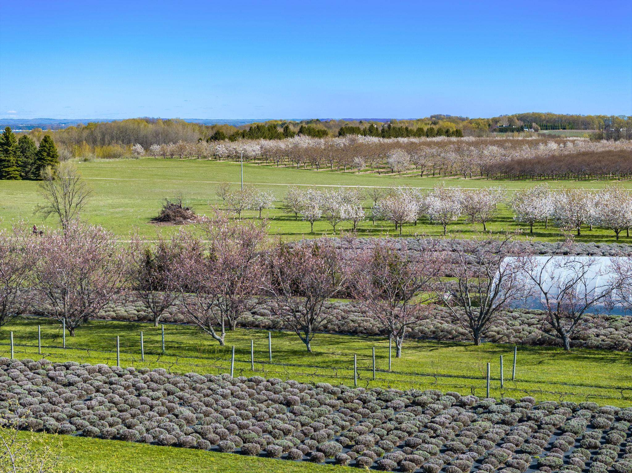 17770 Center Road Traverse City, MI 49686 - Photo 96 of 97