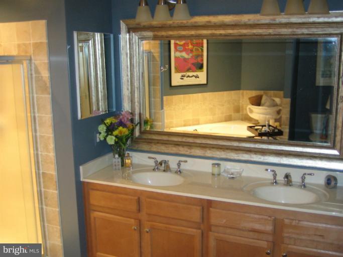1830 Fountain Drive, Unit 802 Reston, VA 20190 - Photo 7 of 22 Bath (Master)