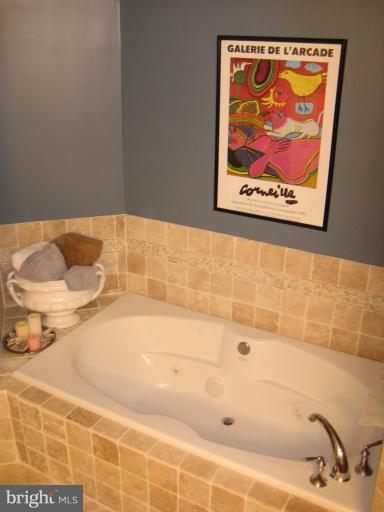 1830 Fountain Drive, Unit 802 Reston, VA 20190 - Photo 10 of 22 Whirlpool Tub