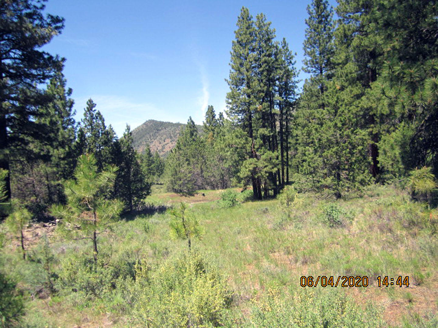 38 Twp Rnge 9 Sec 9 Sw4nw4 Road Klamath Falls, OR 97601 - Photo 16 of 19 Anderson-16