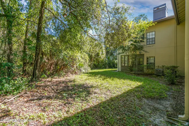 a view of a tree in a garden