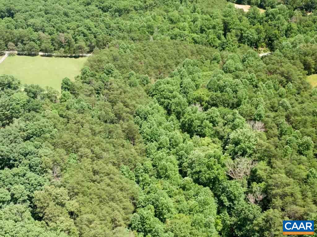 0 Buck Island Road Charlottesville, VA 22902 - Photo 8 of 23 an aerial view of residential house with outdoor space and trees around