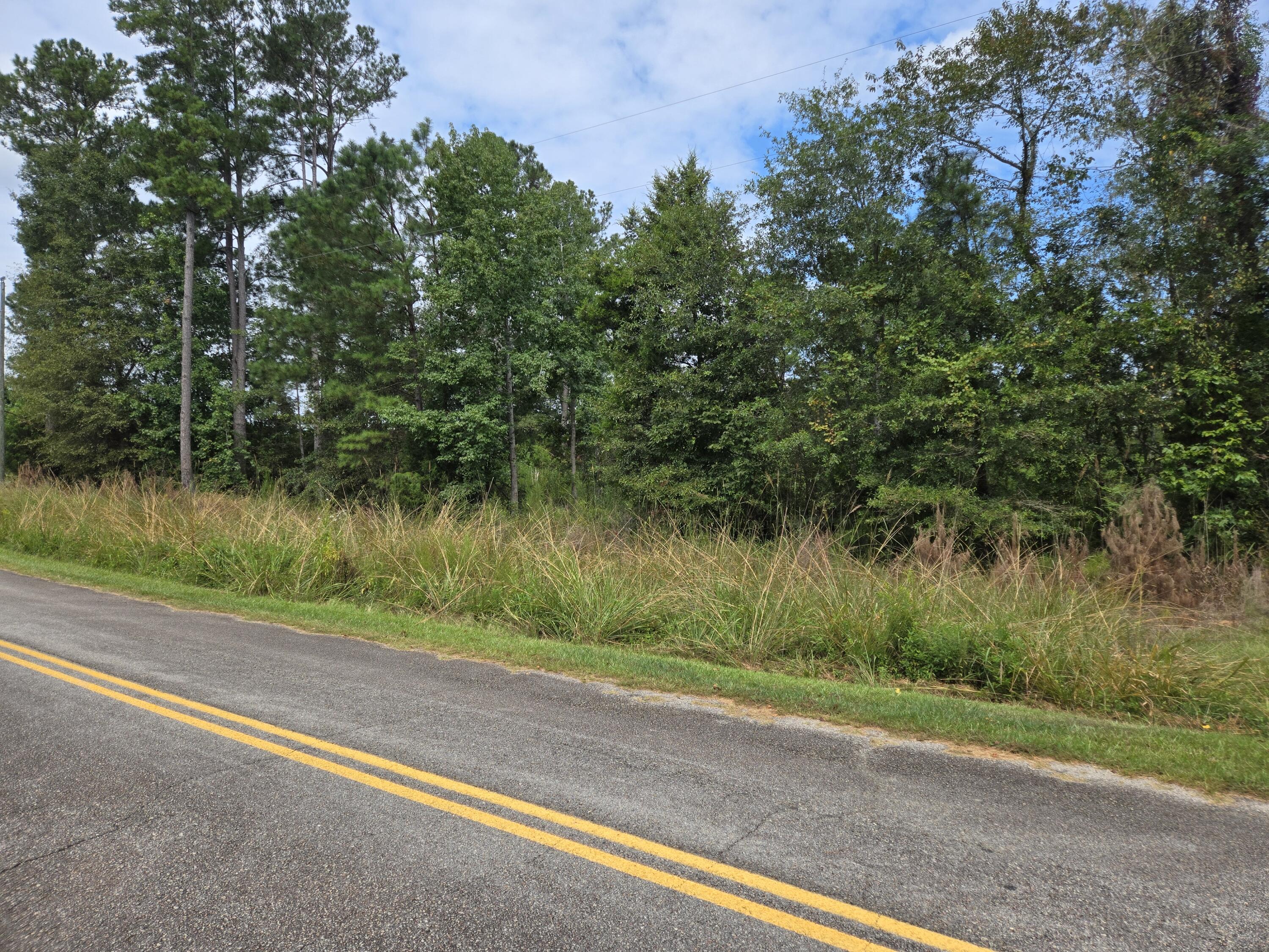 0 Charming Circle Winnsboro, SC 29180 - Photo 5 of 5 20250907_114423