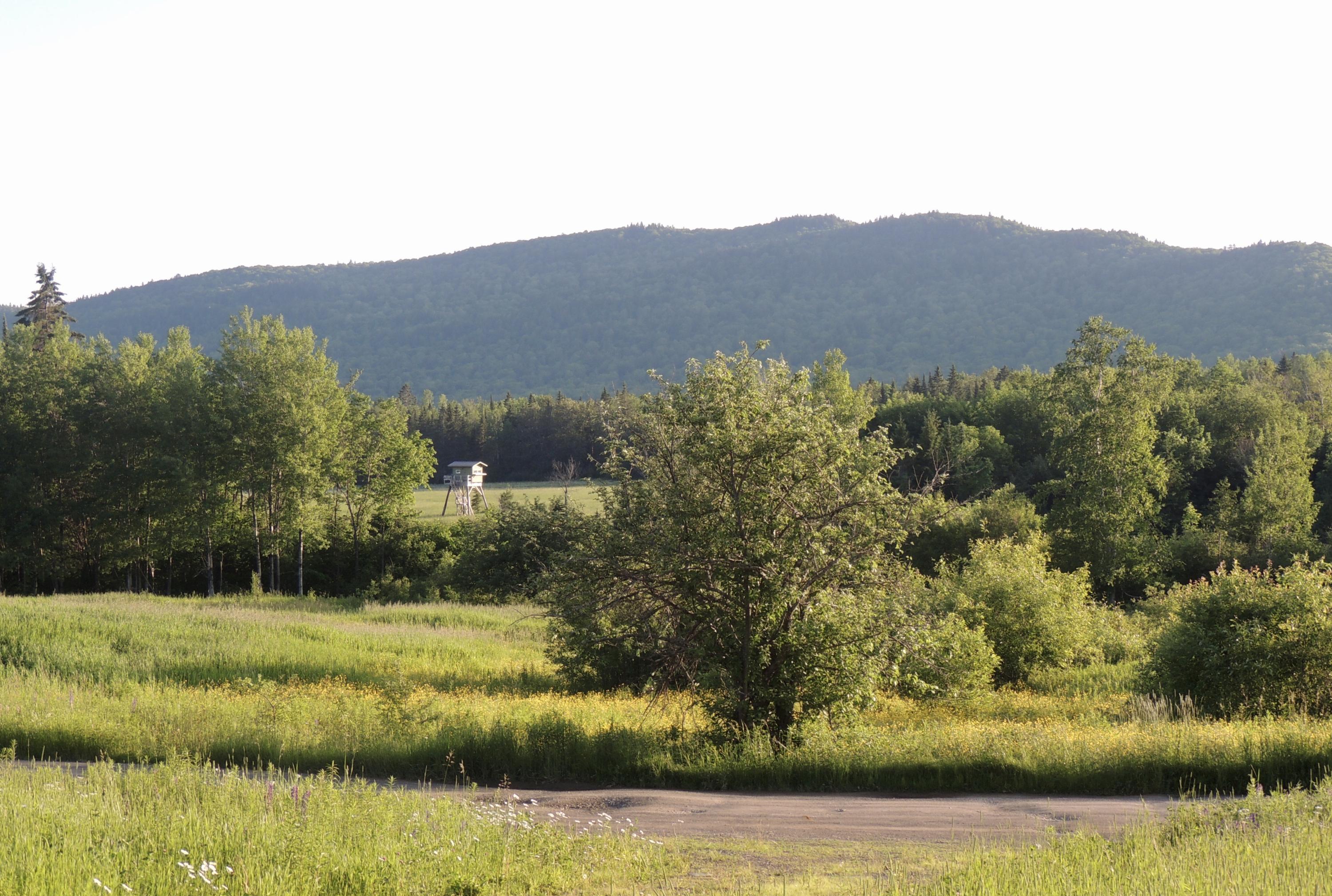 Map7-lot7 West Chapman Road Mapleton, ME 04757 - Photo 7 of 35 fullsizeoutput_c0