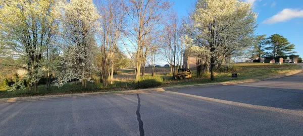 a view of road with trees
