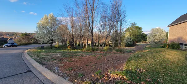 a view of a park with entertaining space