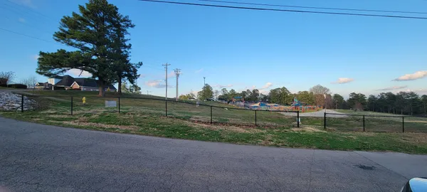 a view of park with large trees