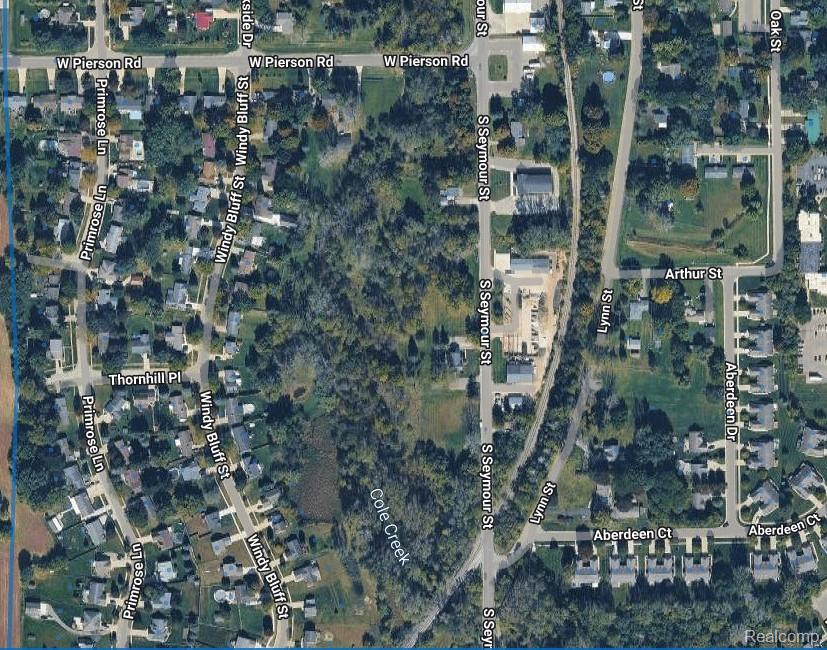 Vacant Land Seymour (parcel 25) Road Flushing, MI 48433 - Photo 3 of 4