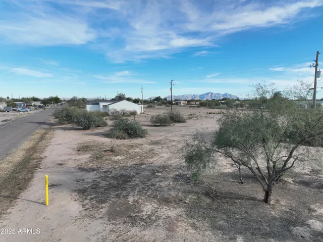 a view of a dry yard with wooden fence and trees