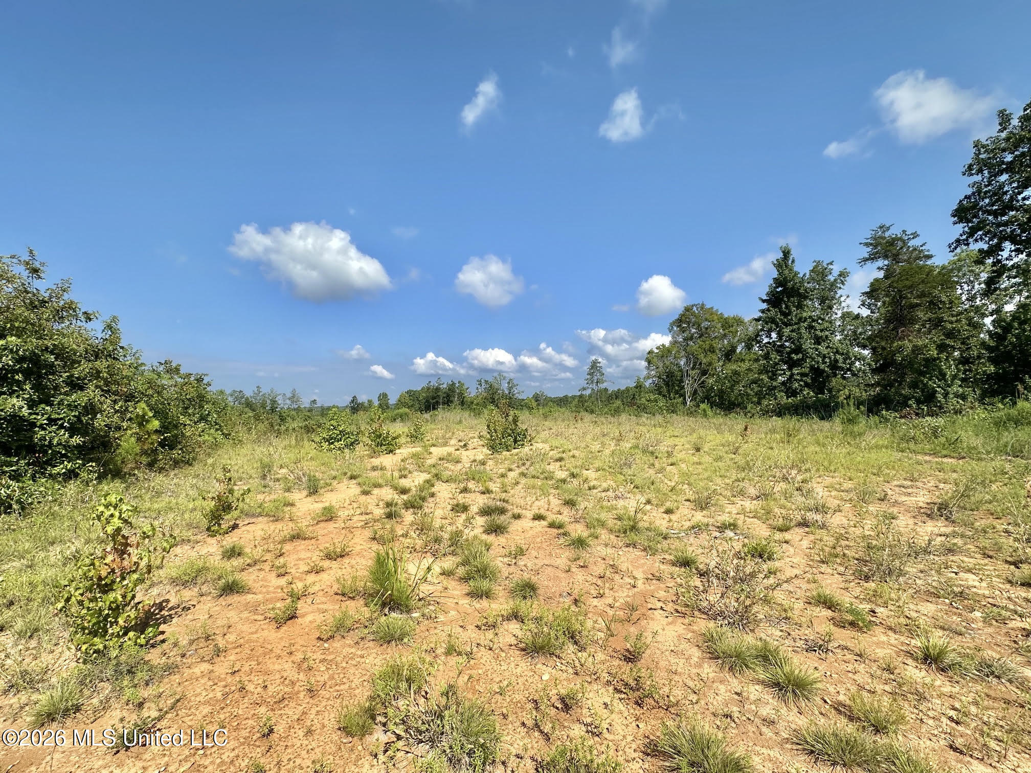 2 Will Womack Road Mantee, MS 39751 - Photo 4 of 9 17