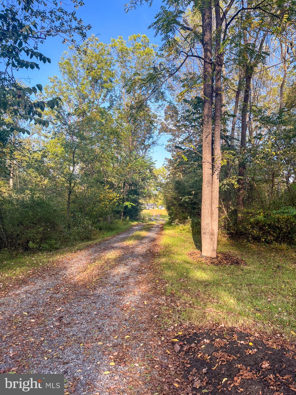 739 Company Farm Road Aspers, PA 17304 - Photo 41 of 45 a view of a yard with trees