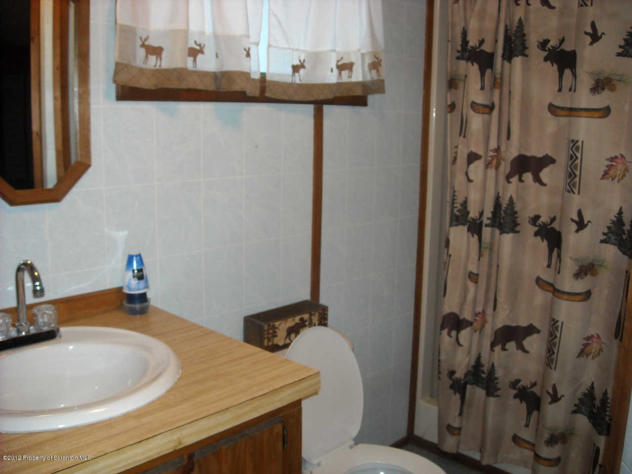 1649 Oak Ridge Road Mehoopany, PA 18629 - Photo 9 of 13 a bathroom with a sink and a mirror