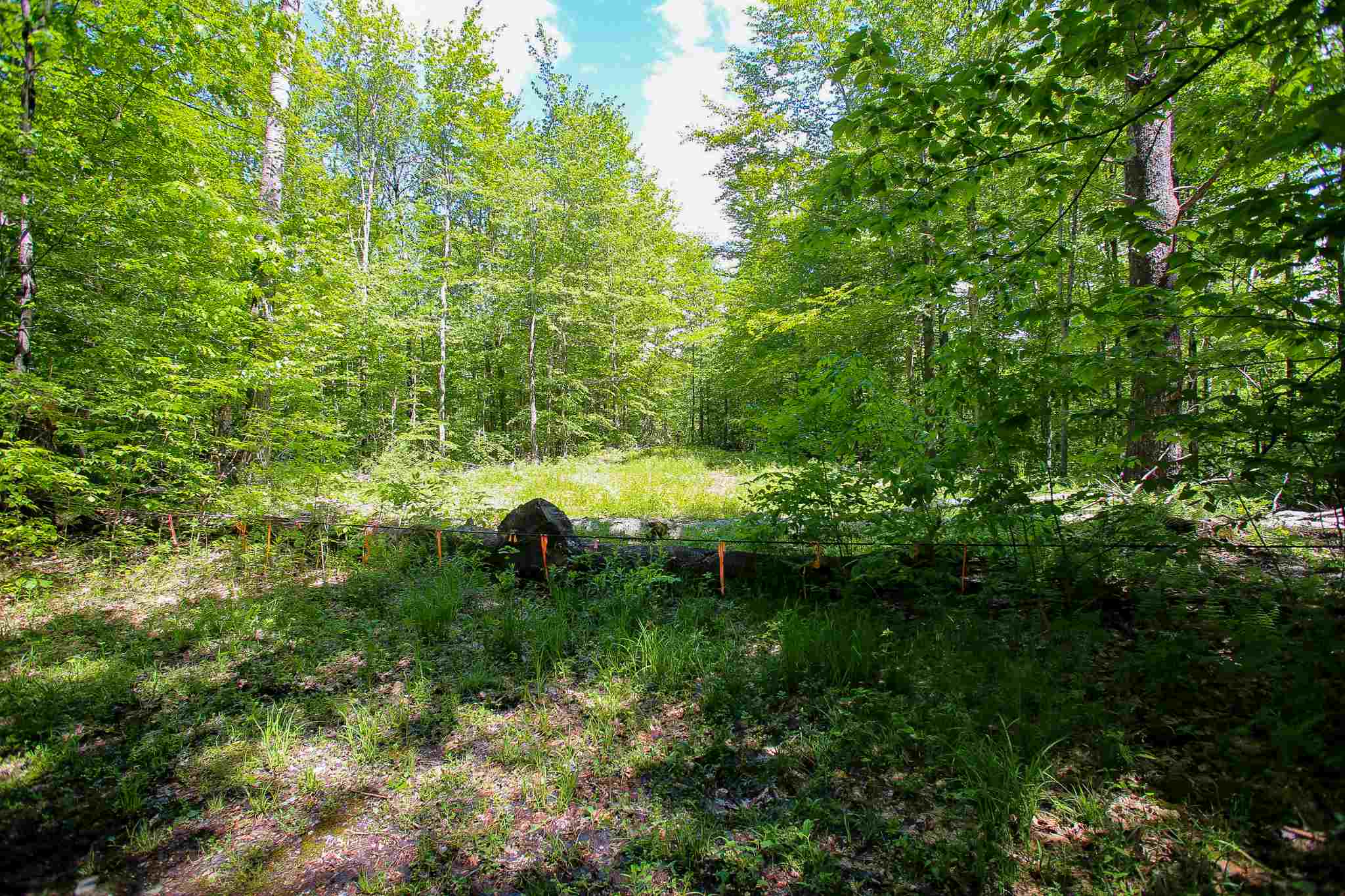 61 Rogers Road Westford, VT 05494 - Photo 11 of 40 Gallery Image 11