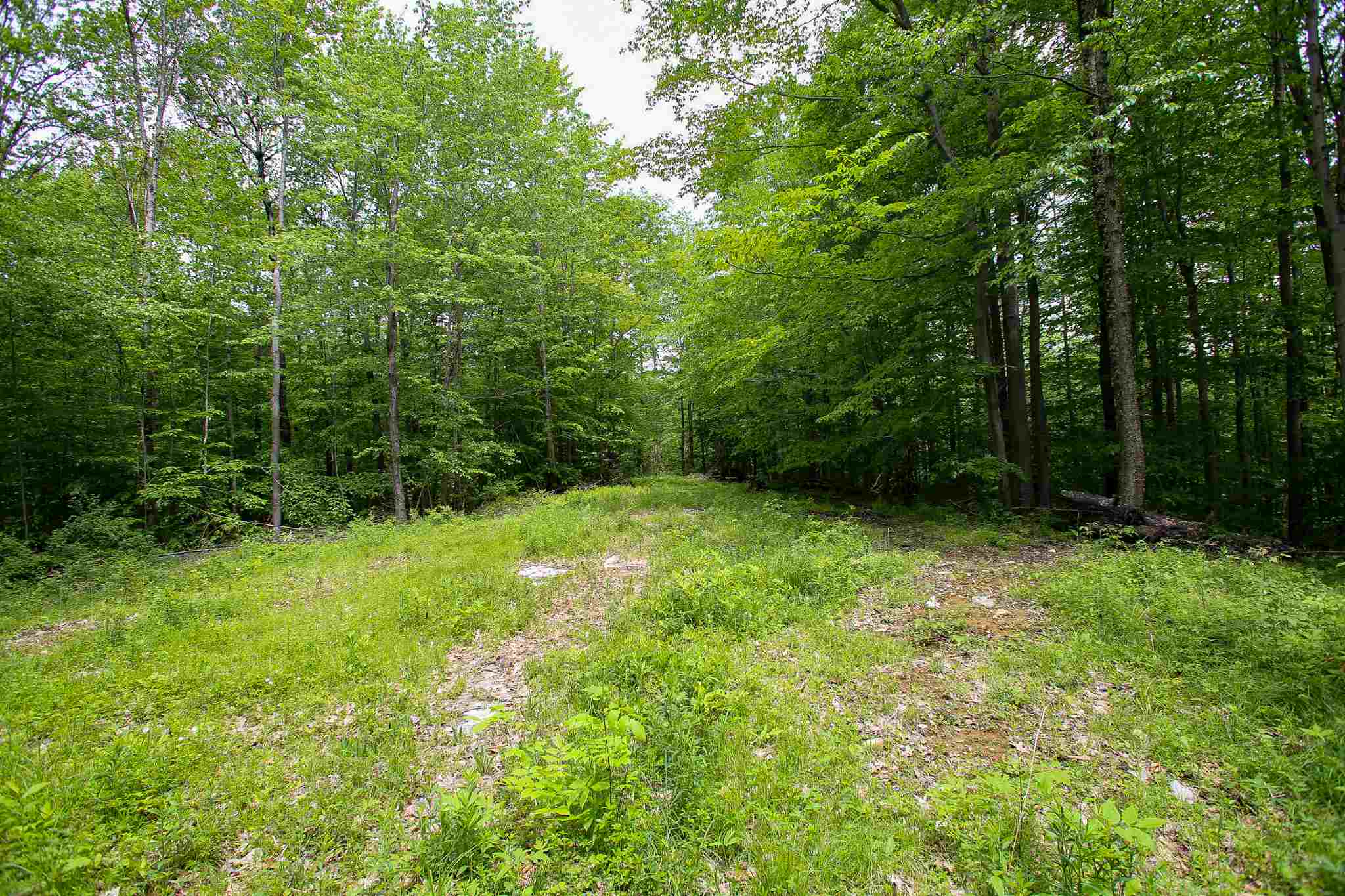61 Rogers Road Westford, VT 05494 - Photo 12 of 40 Gallery Image 12