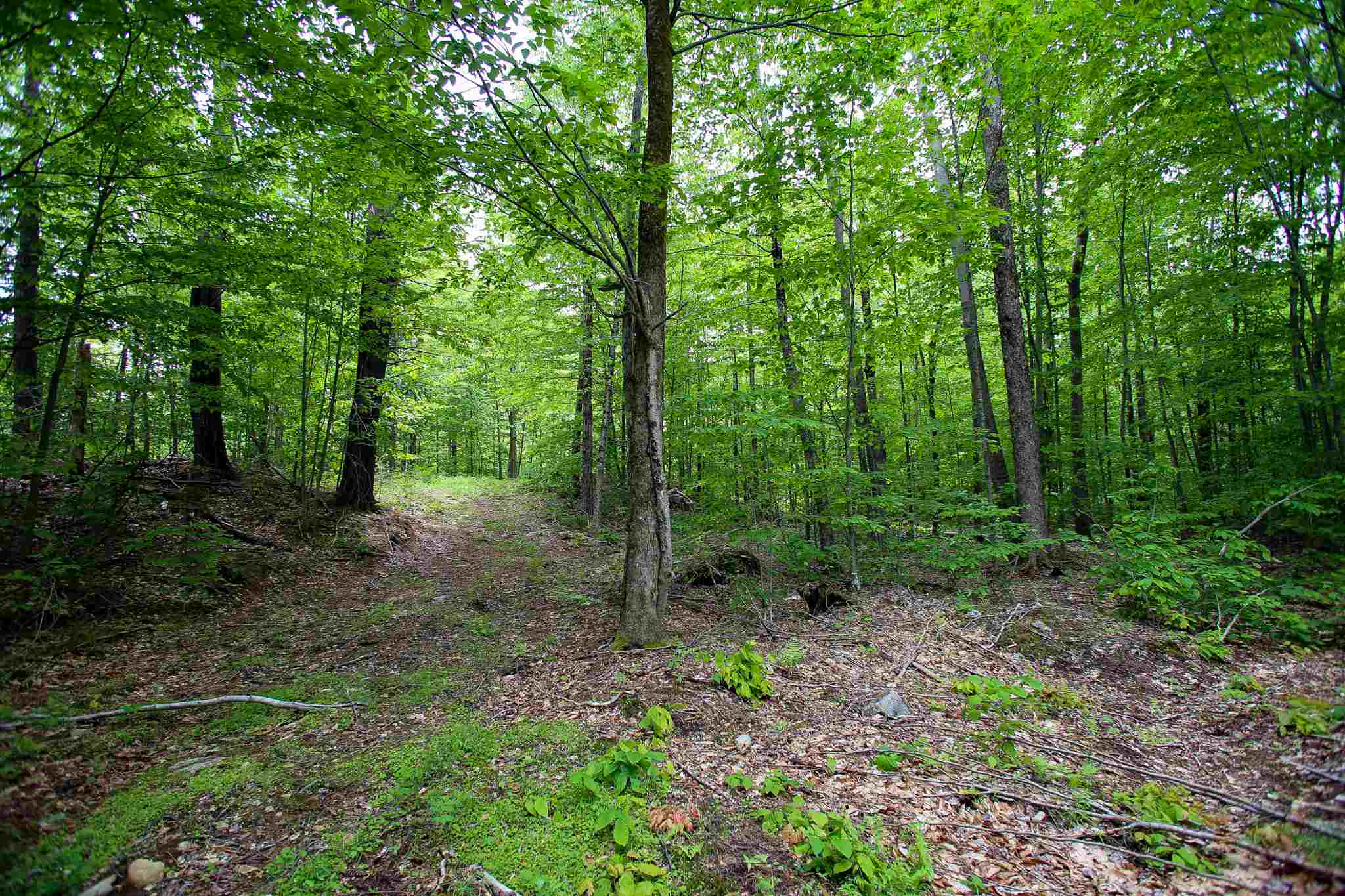 61 Rogers Road Westford, VT 05494 - Photo 13 of 40 Gallery Image 13
