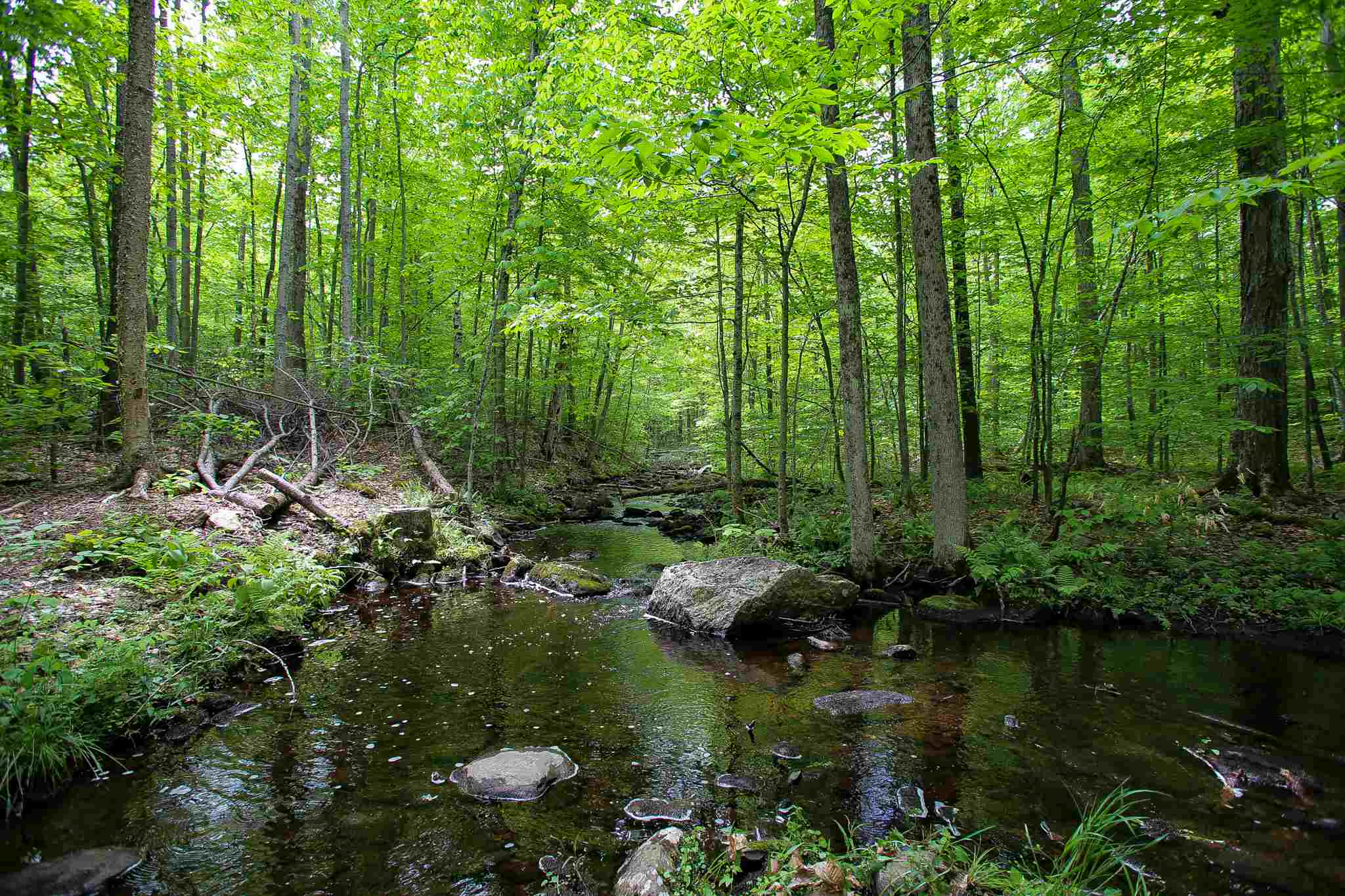 61 Rogers Road Westford, VT 05494 - Photo 15 of 40 Gallery Image 15