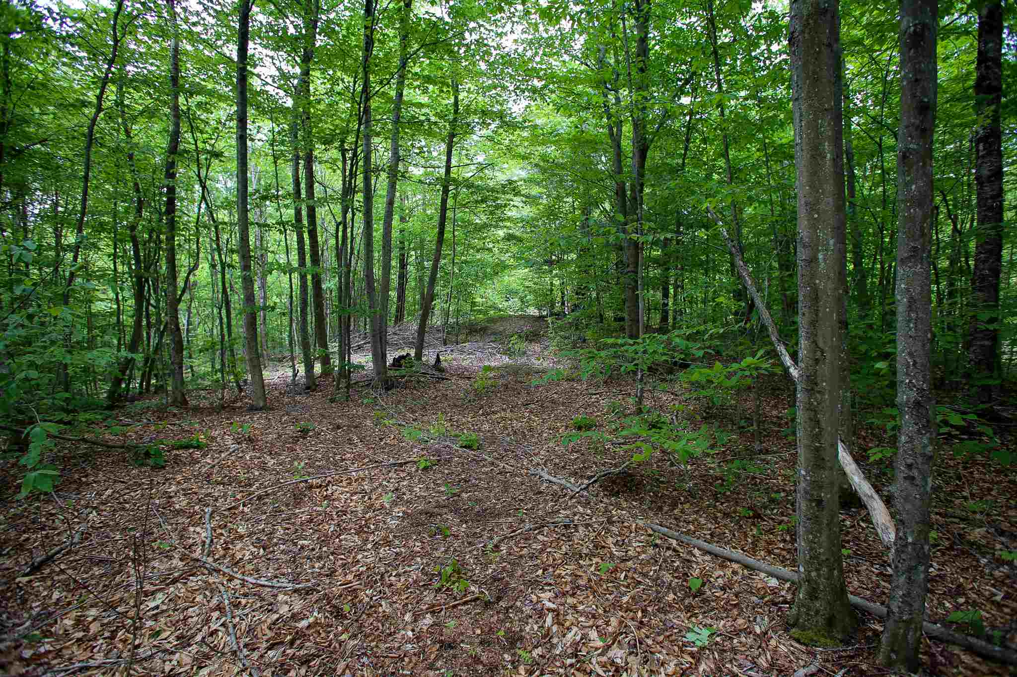 61 Rogers Road Westford, VT 05494 - Photo 16 of 40 Gallery Image 16