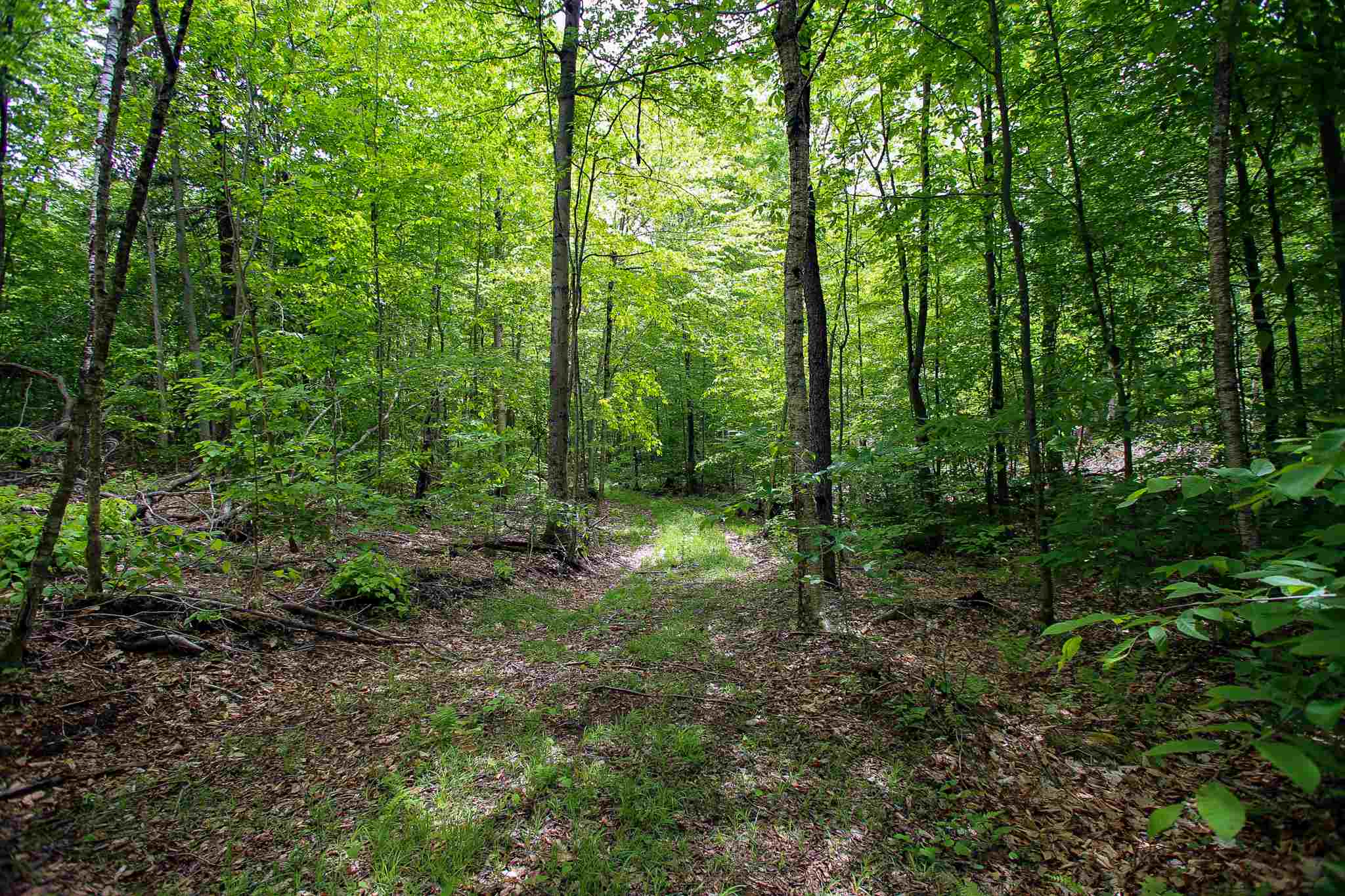 61 Rogers Road Westford, VT 05494 - Photo 20 of 40 Gallery Image 20