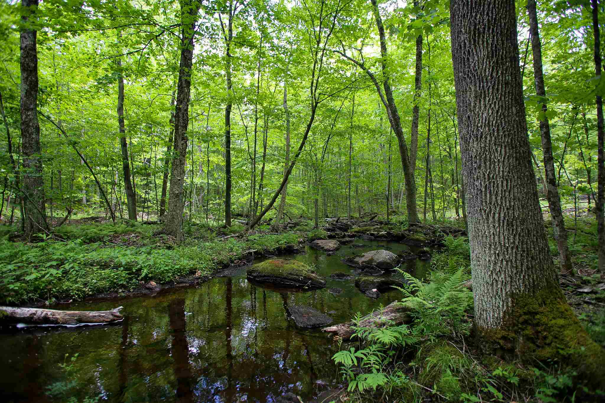 61 Rogers Road Westford, VT 05494 - Photo 3 of 40 Gallery Image 3