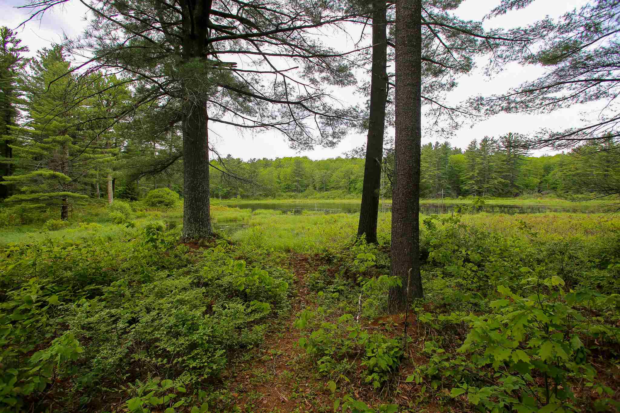 61 Rogers Road Westford, VT 05494 - Photo 22 of 40 Gallery Image 22