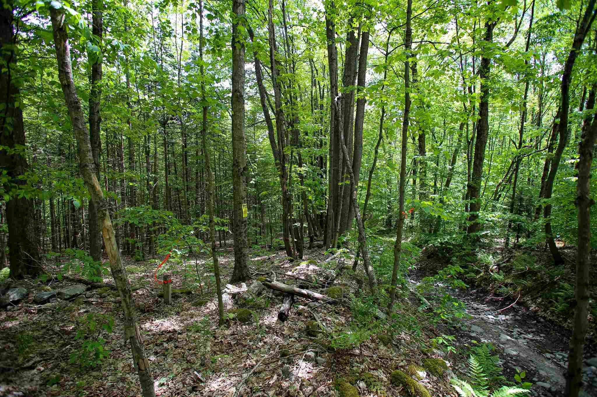 61 Rogers Road Westford, VT 05494 - Photo 26 of 40 Gallery Image 26