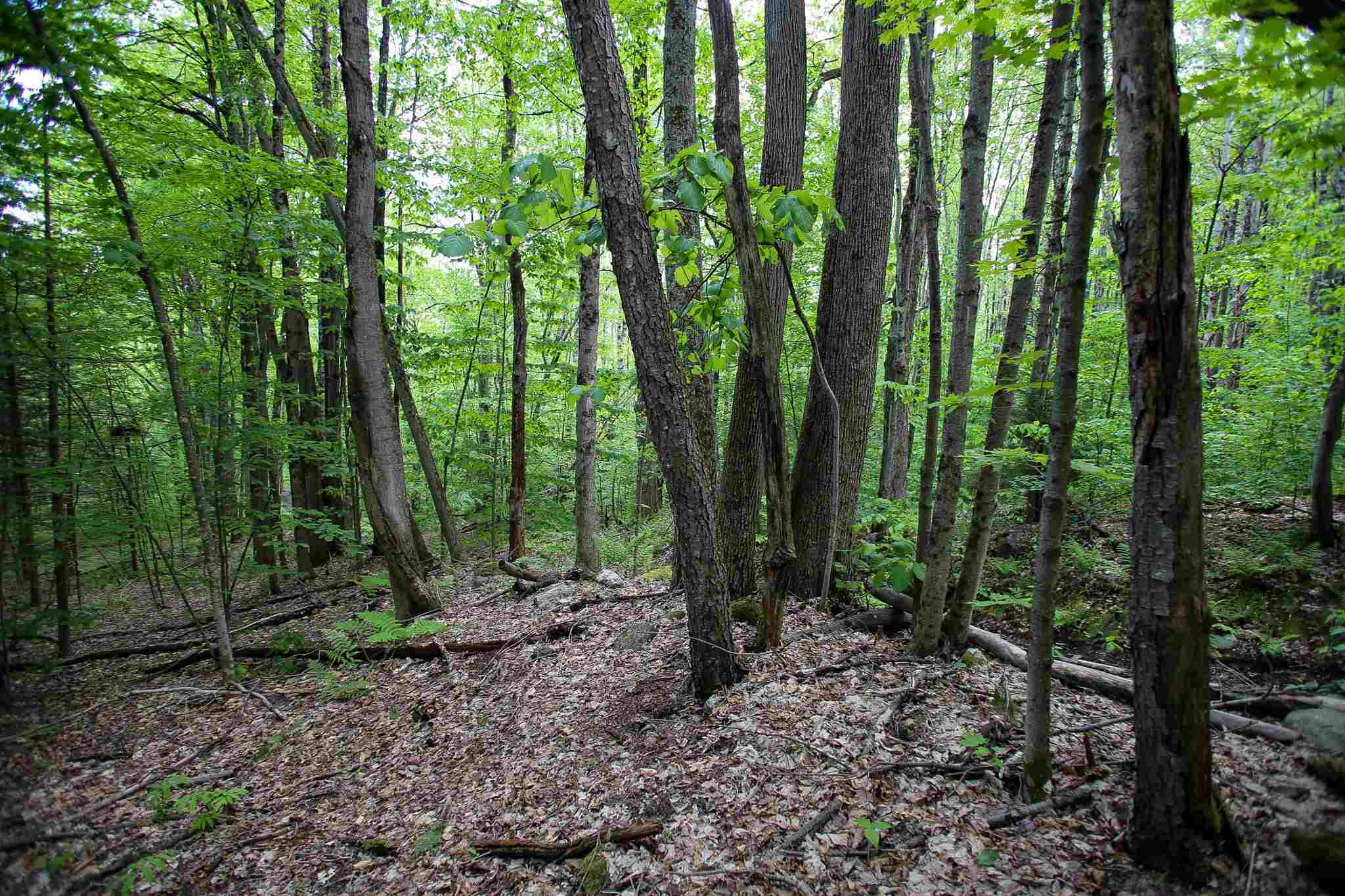 61 Rogers Road Westford, VT 05494 - Photo 27 of 40 Gallery Image 27