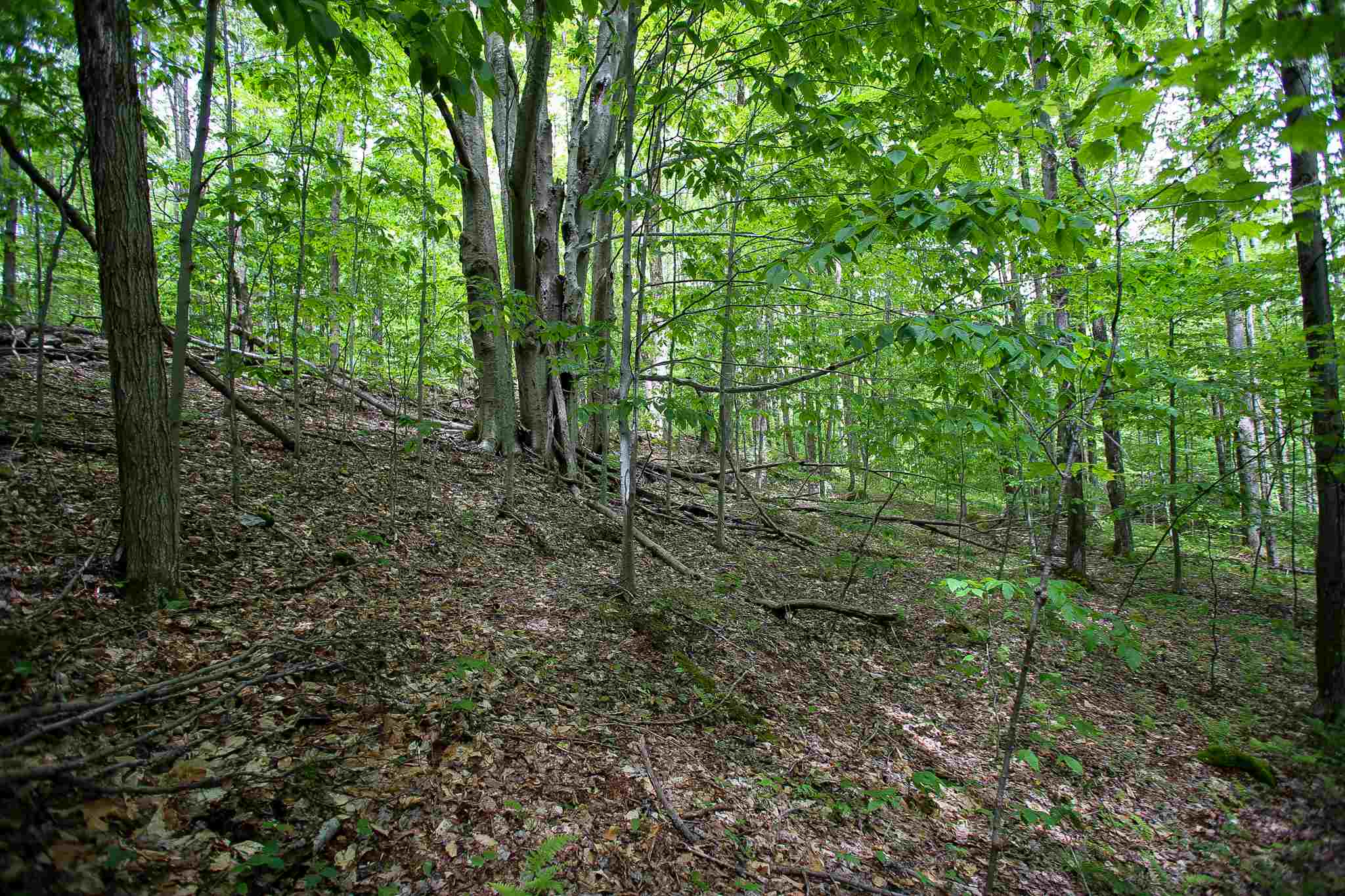 61 Rogers Road Westford, VT 05494 - Photo 29 of 40 Gallery Image 29