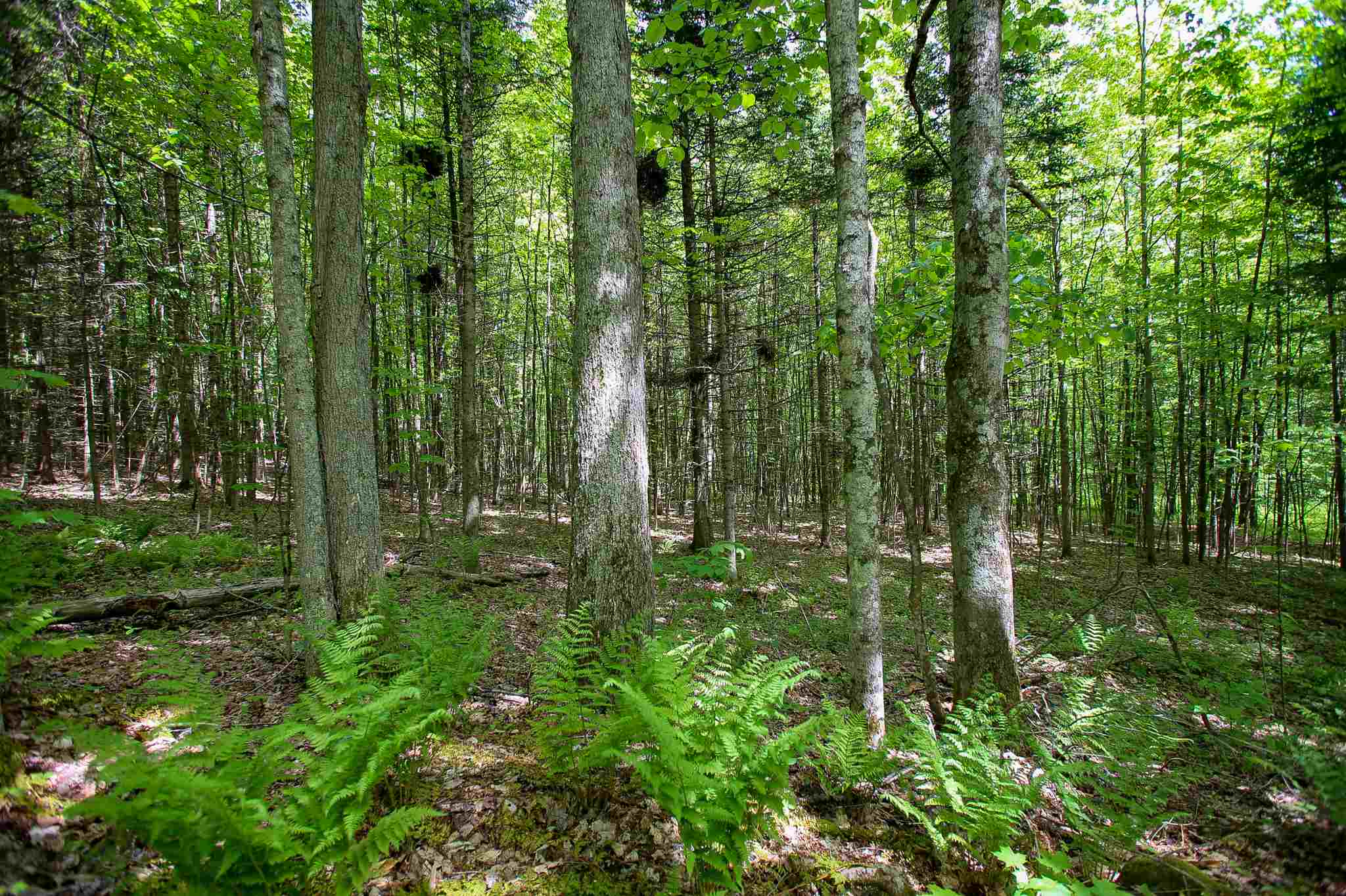 61 Rogers Road Westford, VT 05494 - Photo 30 of 40 Gallery Image 30