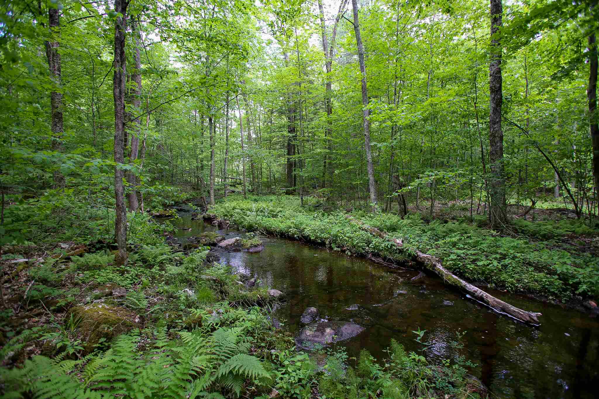 61 Rogers Road Westford, VT 05494 - Photo 4 of 40 Gallery Image 4