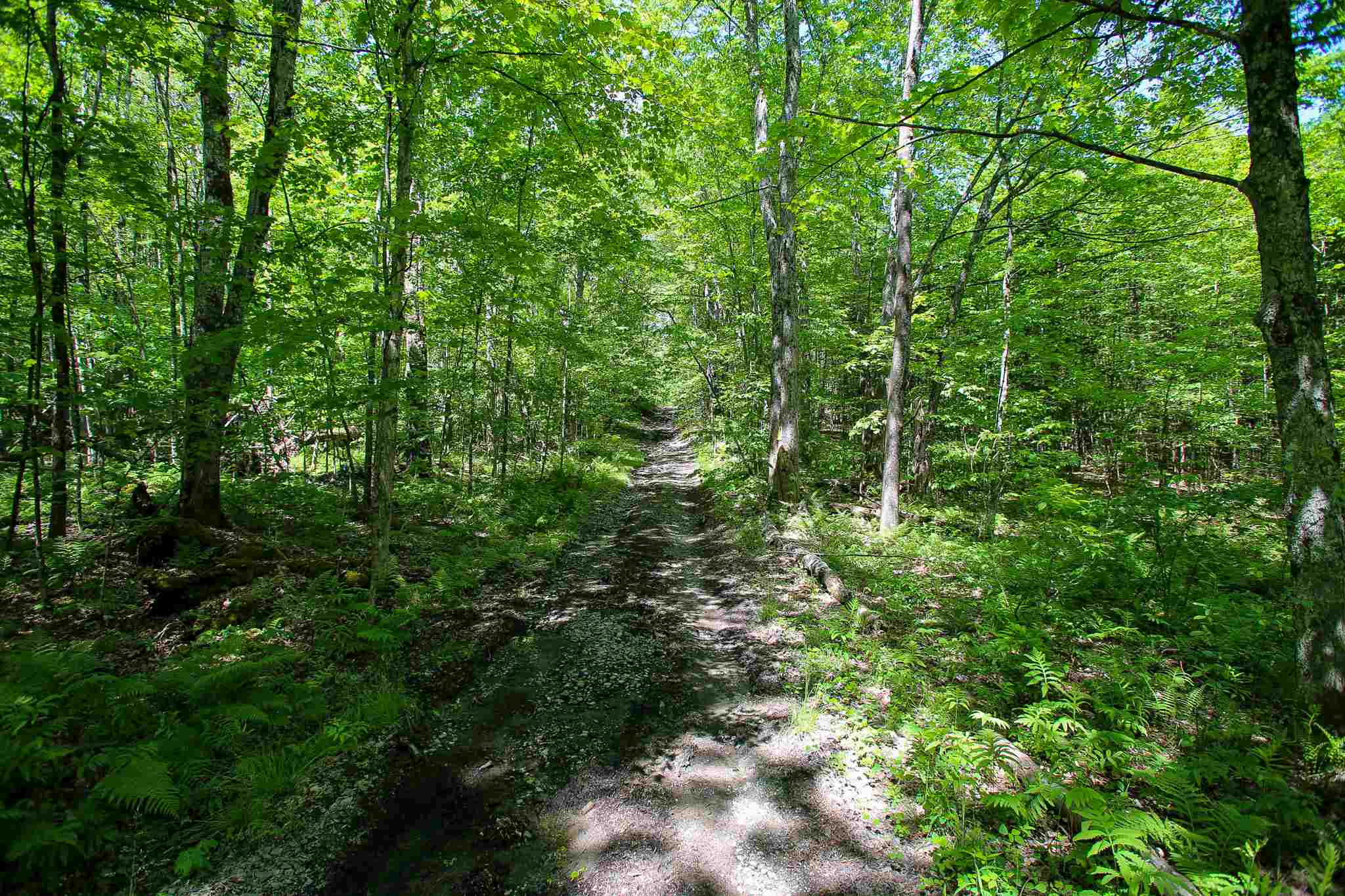 61 Rogers Road Westford, VT 05494 - Photo 33 of 40 Gallery Image 33