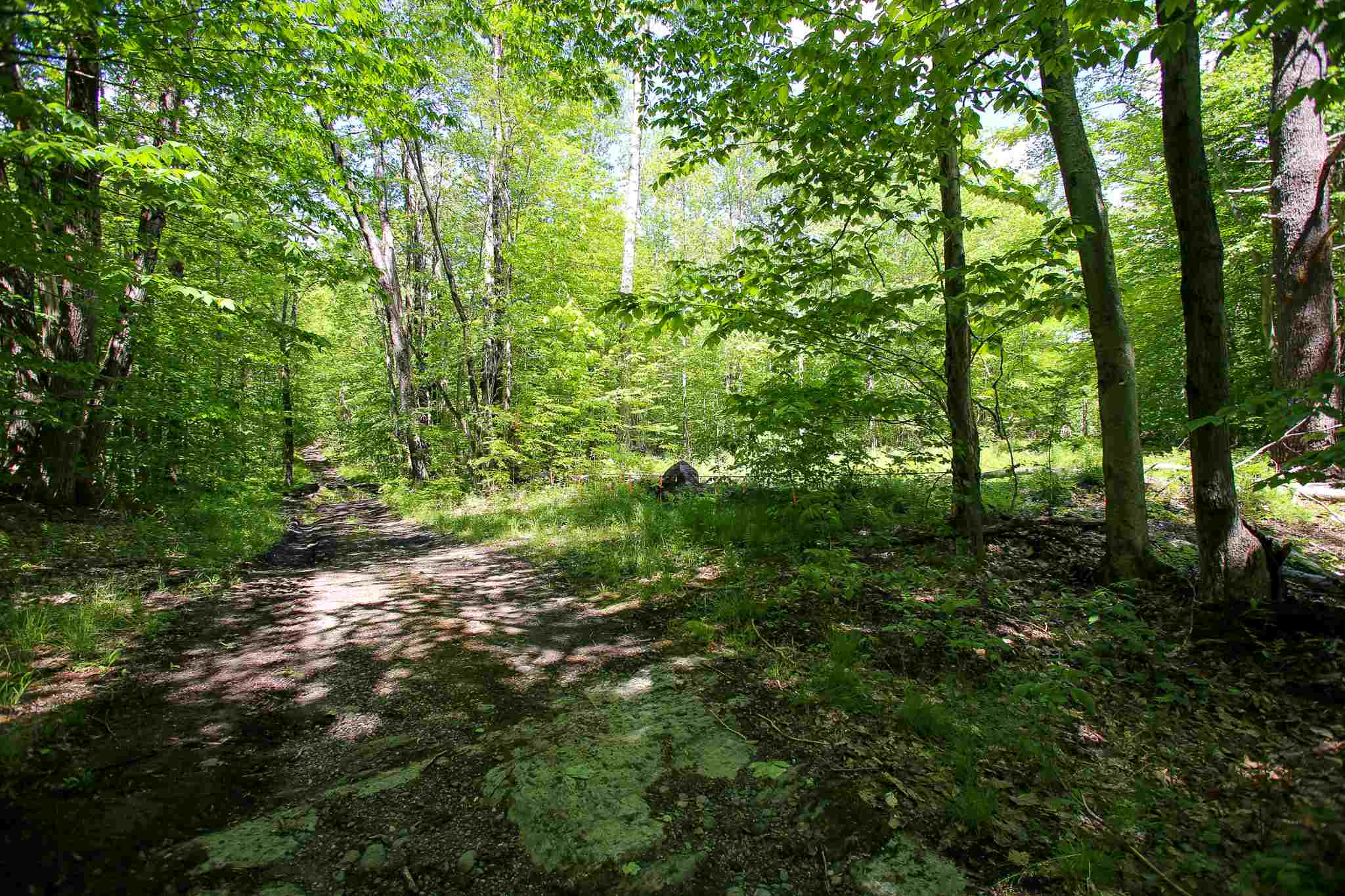 61 Rogers Road Westford, VT 05494 - Photo 10 of 40 Gallery Image 10