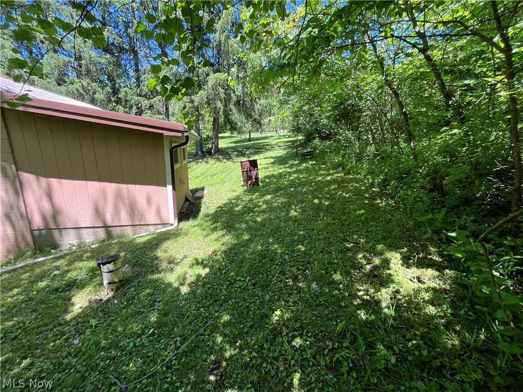 34370 Harry Taylor Road Piedmont, OH 43983 - Photo 4 of 23