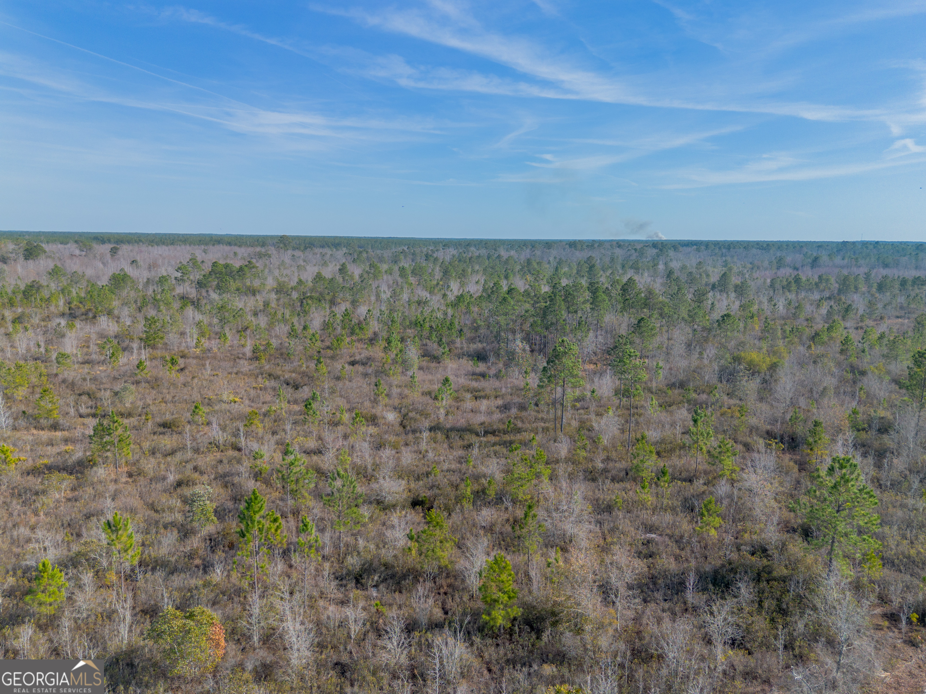0 Banner Road Waycross, GA 31503 - Photo 13 of 43