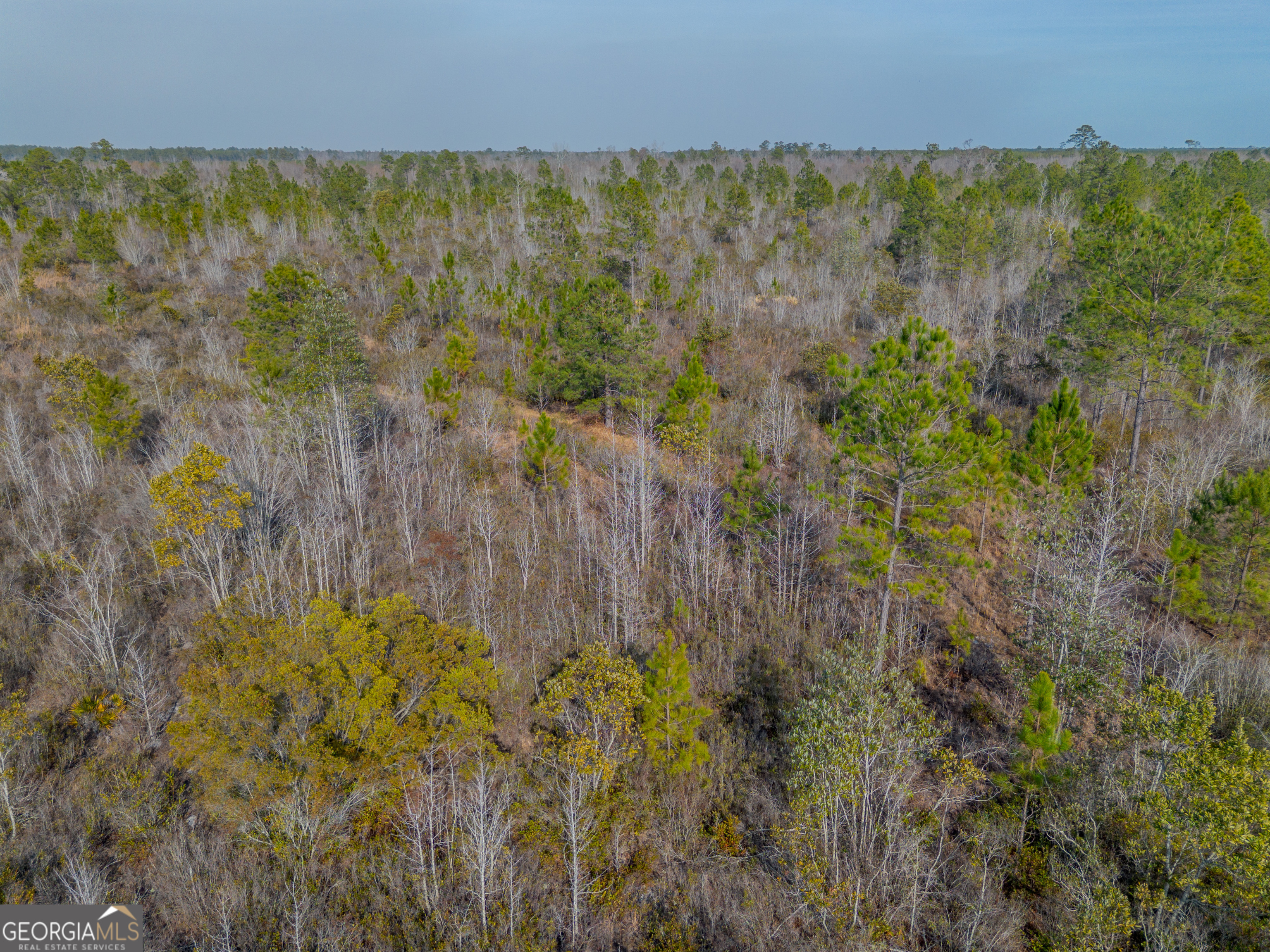 0 Banner Road Waycross, GA 31503 - Photo 15 of 43