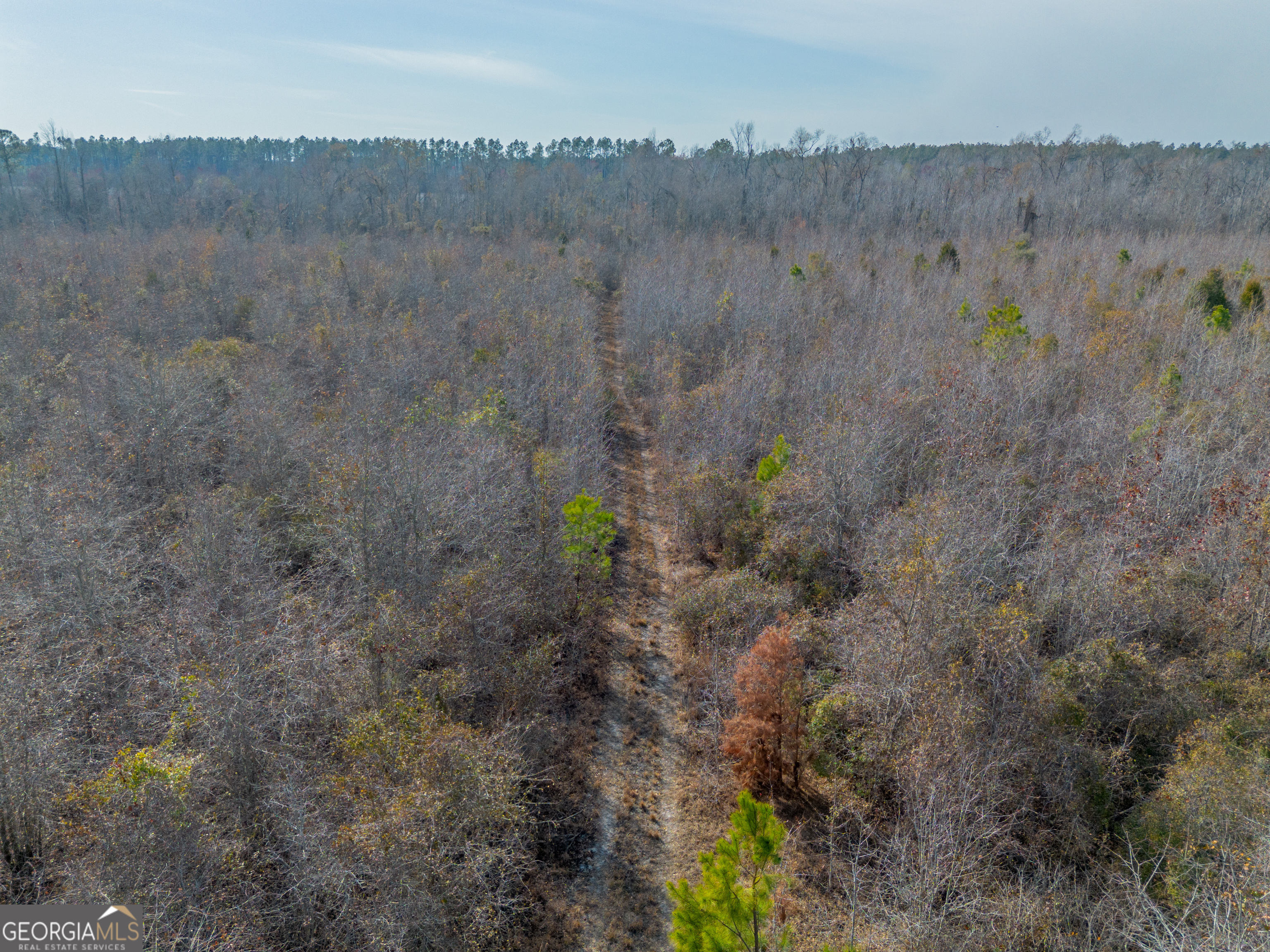 0 Banner Road Waycross, GA 31503 - Photo 16 of 43