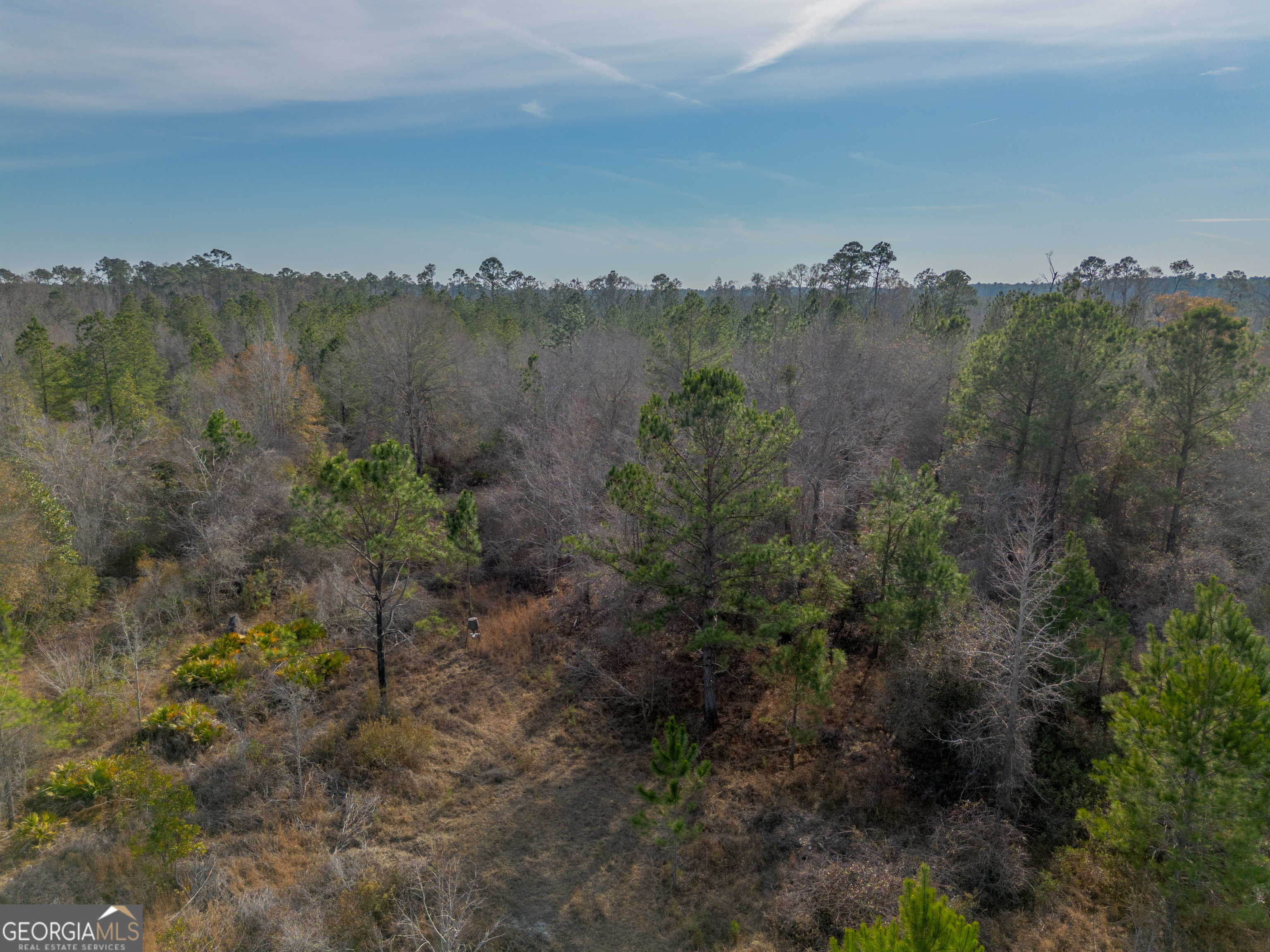 0 Banner Road Waycross, GA 31503 - Photo 19 of 43