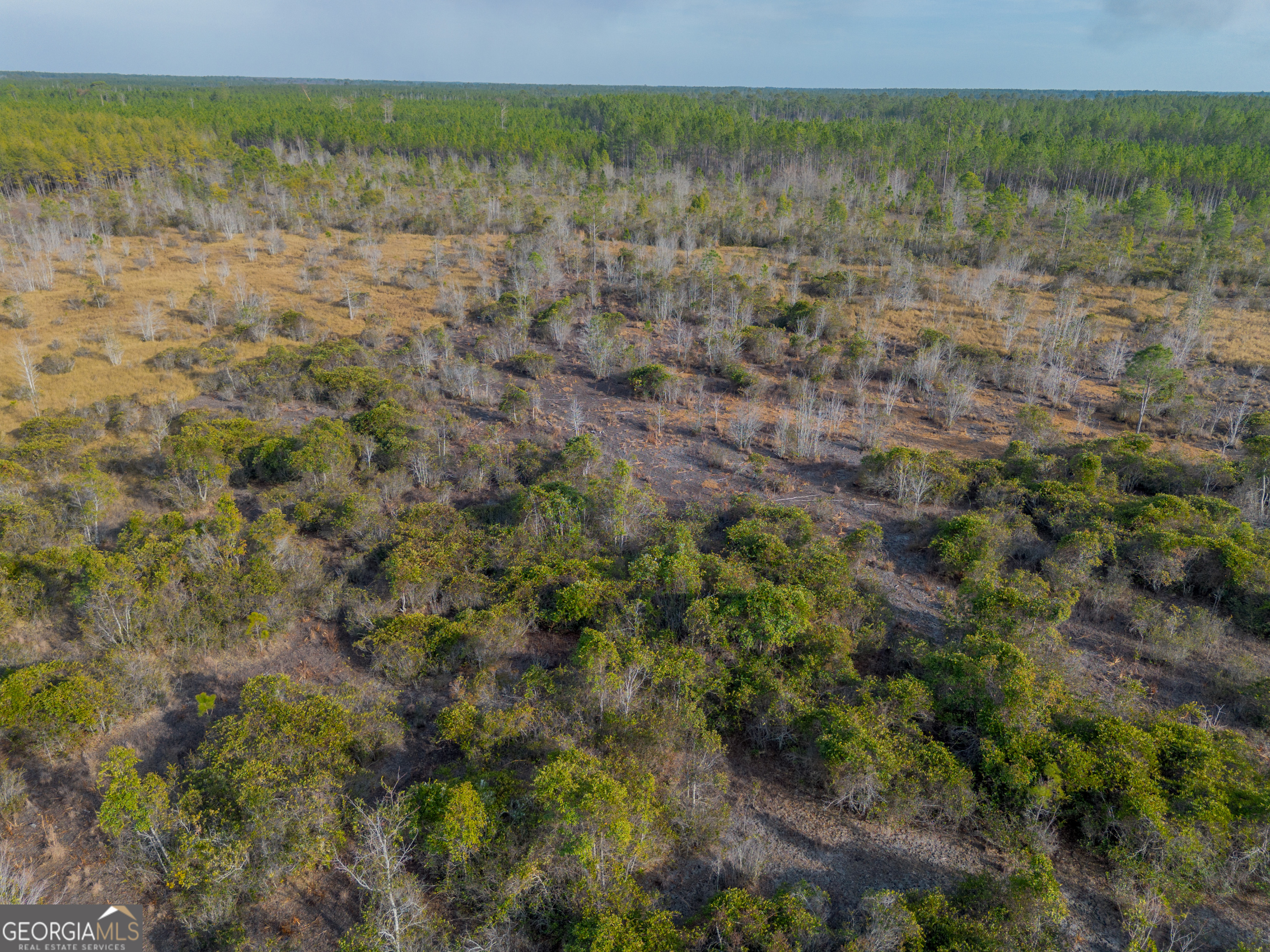 0 Banner Road Waycross, GA 31503 - Photo 24 of 43