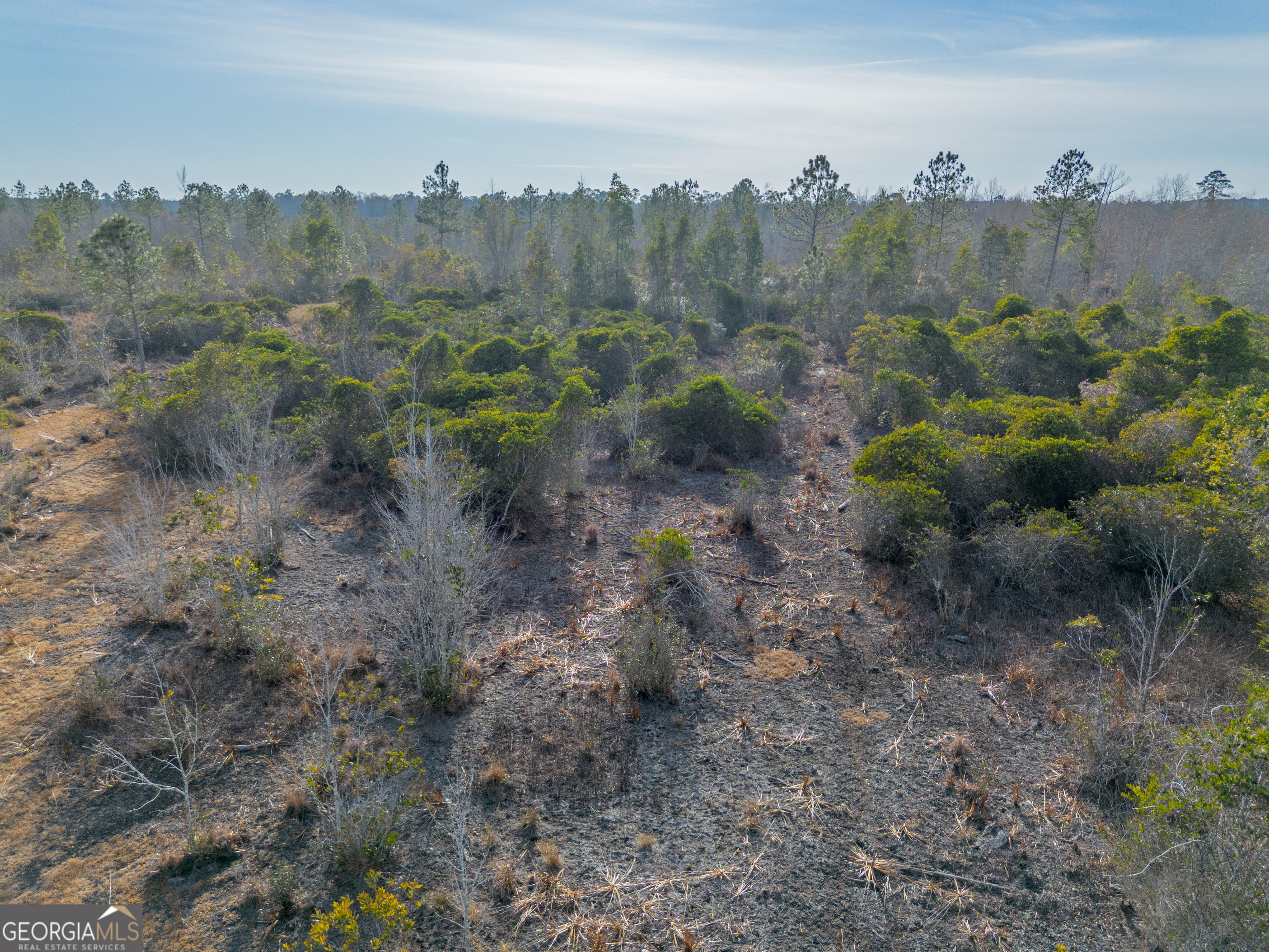 0 Banner Road Waycross, GA 31503 - Photo 25 of 43