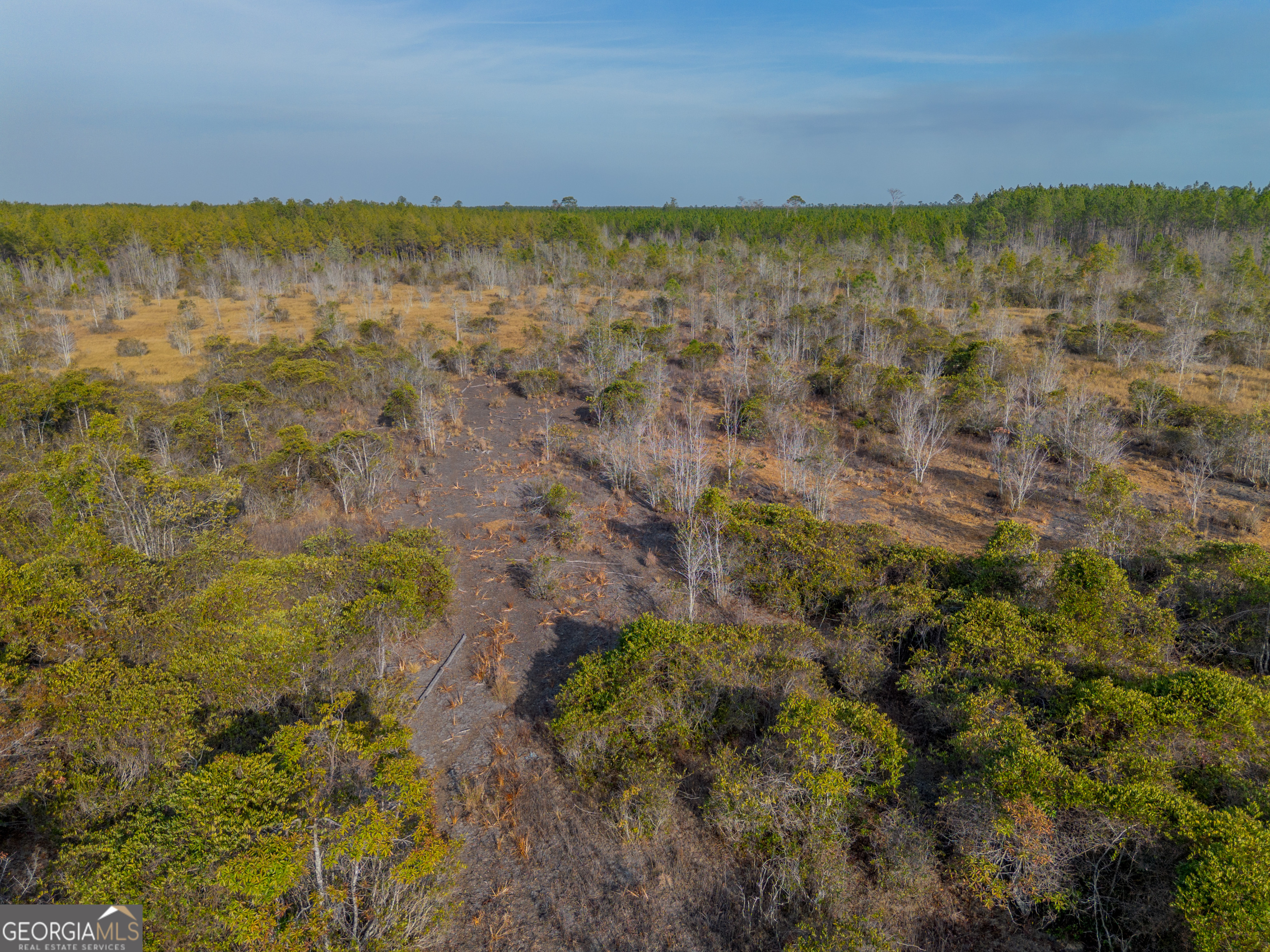 0 Banner Road Waycross, GA 31503 - Photo 26 of 43
