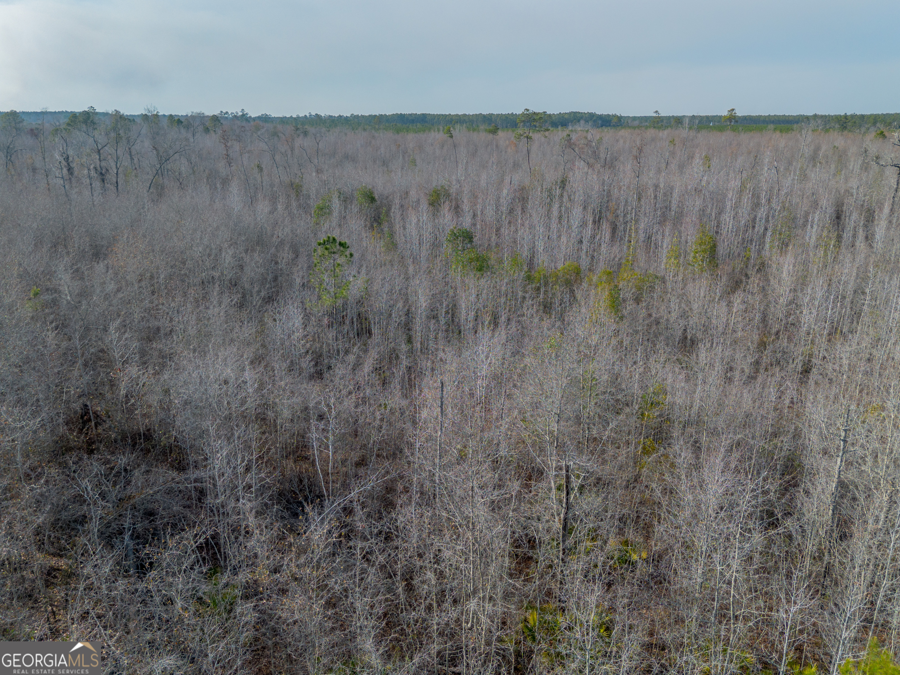 0 Banner Road Waycross, GA 31503 - Photo 27 of 43