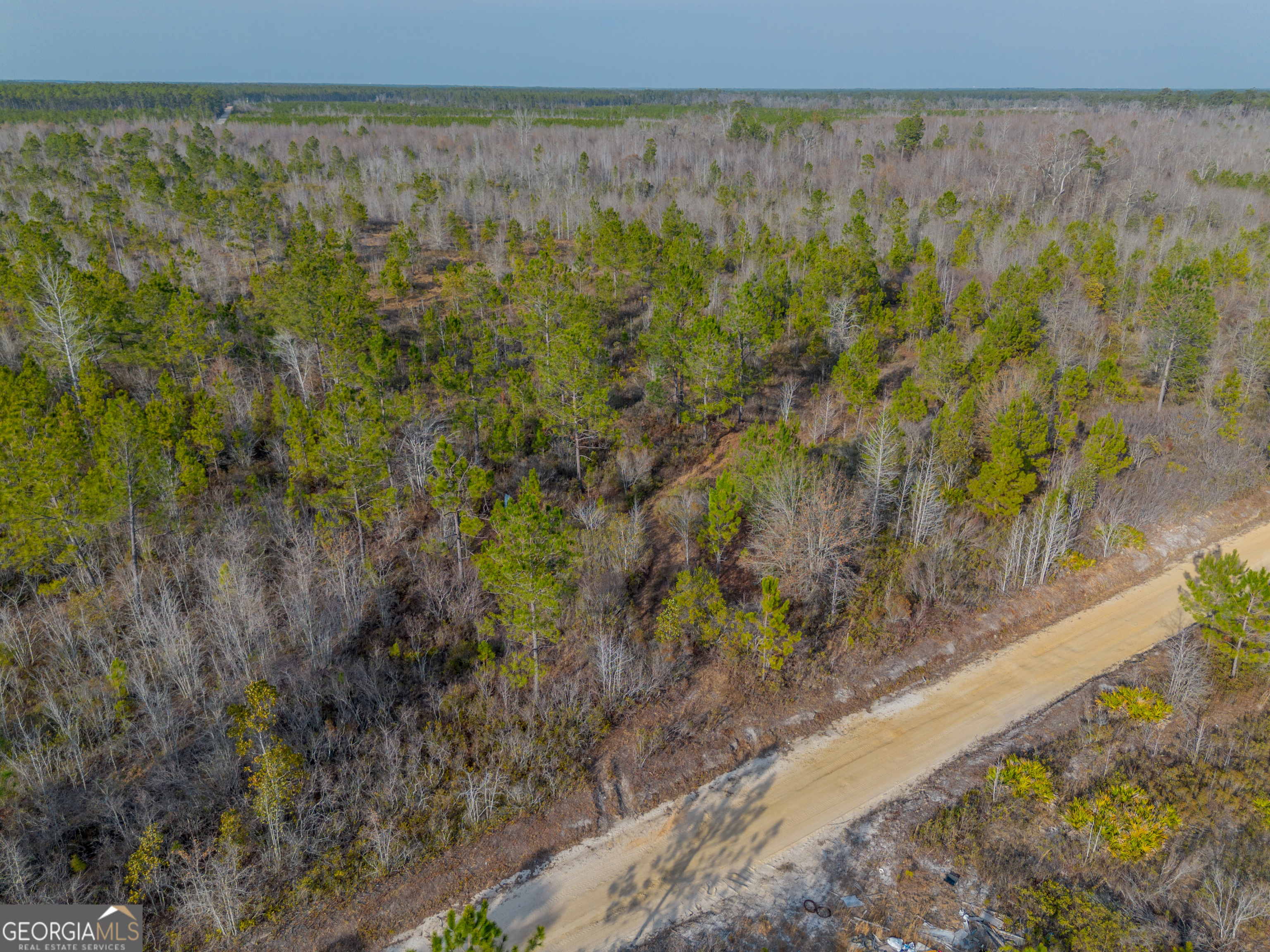 0 Banner Road Waycross, GA 31503 - Photo 29 of 43